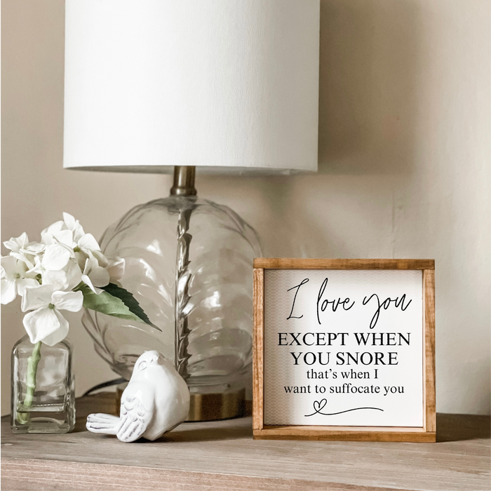 I Love You Except When You Snore