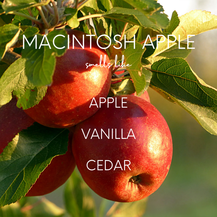 Macintosh Apple Candle